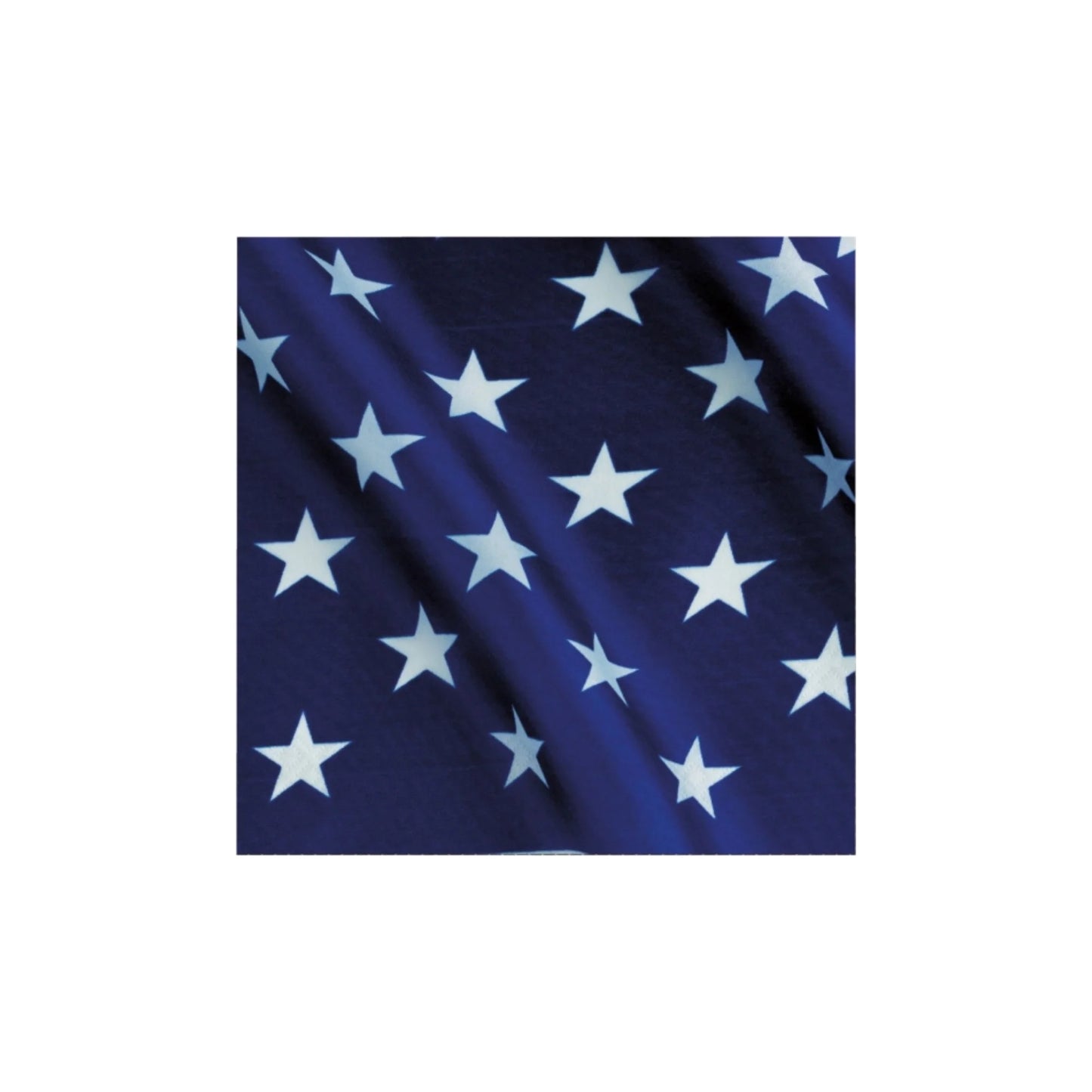 Patriotic American Flag Party Supplies Disposable Plates Napkins for Fourth of July Dessert Beverage Stars Stripes Supplies 16 Guests